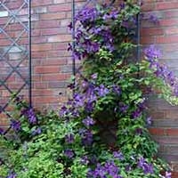 шпалера приставная