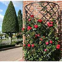 шпалера для сада