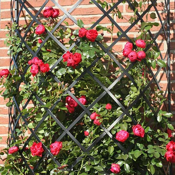 Опора для вьющихся растений 3,2