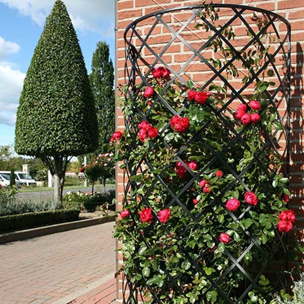 Опора для вьющихся растений 3,1