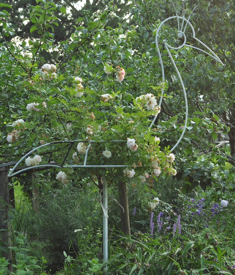 Опора штамбовой розы