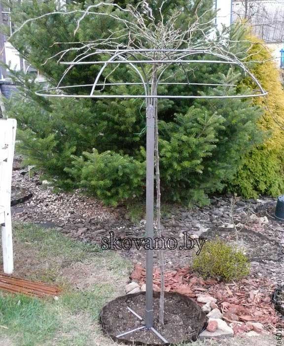 Опора штамбовой розы