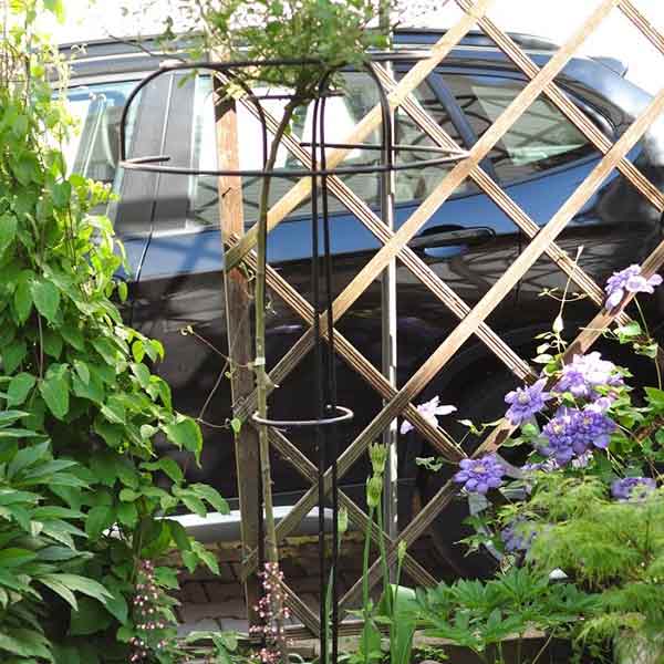 Опора штамбовой розы