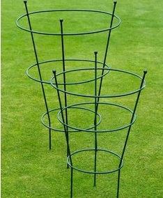 Опора для растений