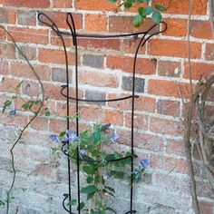 Опора для растений пристенная