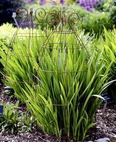 Опора для растений