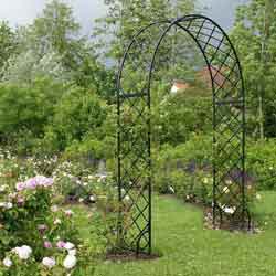 пергола для вьющихся растений