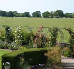 пергола для вьющихся растений