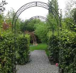 пергола для вьющихся растений