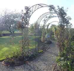 пергола для вьющихся растений