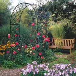 Арка, пергола для вьющихся растений №1