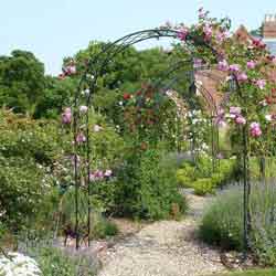 пергола для вьющихся растений