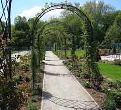 пергола для вьющихся растений