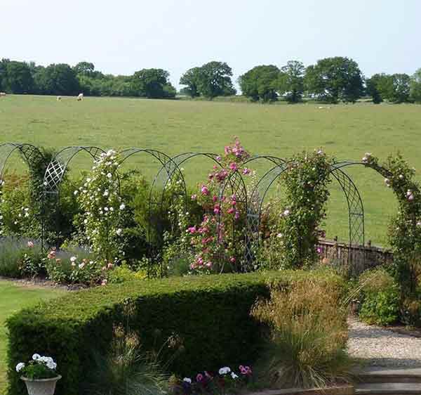 пергола для вьющихся растений