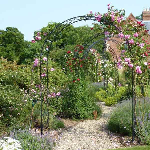 пергола для вьющихся растений