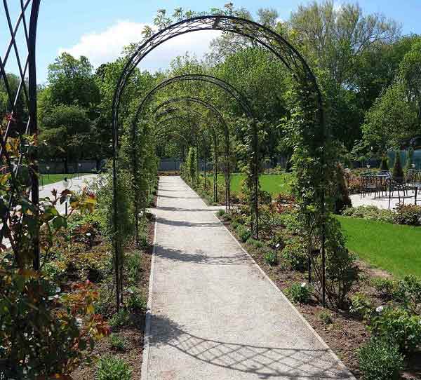 пергола для вьющихся растений